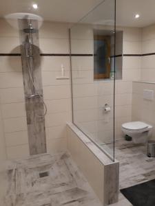 a bathroom with a glass shower and a toilet at Haus Wassermann in Kleblach