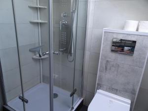 La salle de bains est pourvue d'une douche en verre et de toilettes. dans l'établissement Ferienwohnung Schmidt, Wohnung 2, à Naila