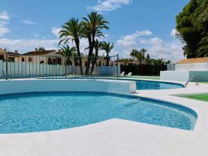 einen Pool in einem Garten mit Palmen in der Unterkunft Eonia Marinas-Dúplex con porche en primera línea! in Vera