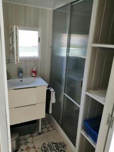 La salle de bains est pourvue d'une douche et d'un lavabo. dans l'établissement SOUS LE SOLEIL DE PROVENCE, au Castellet