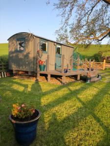 a tiny house in a yard with a porch at The Peacock Shepherds Hut at Hafoty Boeth in Corwen