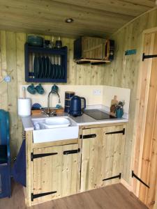 a kitchen with a sink and a counter top at The Peacock Shepherds Hut at Hafoty Boeth in Corwen