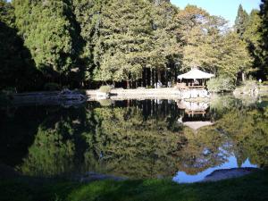 a pond with a gazebo in a park at Wankou Hotel in Zhongzheng