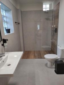 a bathroom with a toilet and a sink and a shower at Cruzeto in Syvota