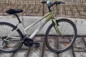 Jízda na kole v ubytování La Conchiglia nebo okolí