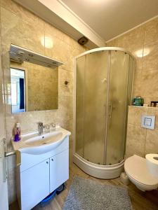 a bathroom with a shower and a sink and a toilet at Villa Mare & Filip 2 in Zaton