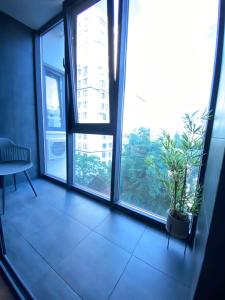 een kamer met grote ramen en een potplant bij New Lux Business Apartment in the Center in Chişinău