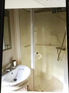 a bathroom with a shower and a sink at Rio Plot F in Torquay