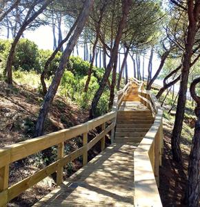 a wooden path through a forest with trees at Beach,surf, hiking and more in Maceira
