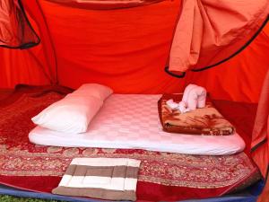 Una cama en una tienda con un gato. en Kintamani Adventure Hidden Lodge en Kintamani