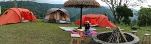 Příroda nedaleko luxury tent + 15 fotografií