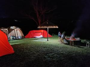 Kintamani Adventure Hidden Lodge في Kintamani: مجموعة من الخيام في حقل ليلا