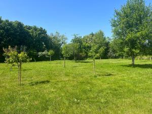 Zahrada ubytování Le Gîte du Verger au cœur des boucles de Seine
