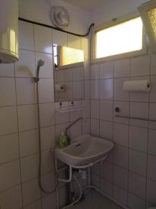 a bathroom with a sink and a shower at Mecsek Virágai Lak in Magyarhertelend