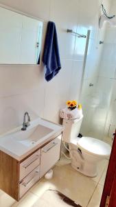 a bathroom with a toilet and a sink and a shower at Apartamento Anna Carolina in Florianópolis +18 photos