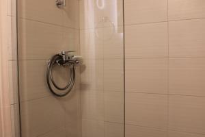 a shower with a shower head in a bathroom at Blue Dolphin in Batsi +37 photos