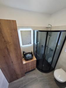 ein Badezimmer mit Dusche, Waschbecken und Toilette in der Unterkunft Apartment Lo&Ti in Čižići