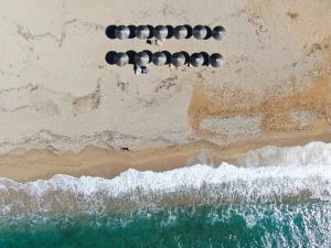 Příroda nedaleko hotelu + 19 fotografií