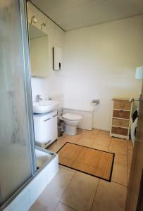 a bathroom with a toilet and a sink at Ferienhaus mit Sauna für romantische Zweisamkeit in Molbergen