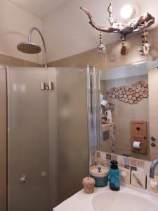 ein Bad mit einer Dusche, einem Waschbecken und einem Spiegel in der Unterkunft צמח בר in Midreshet Ben Gurion