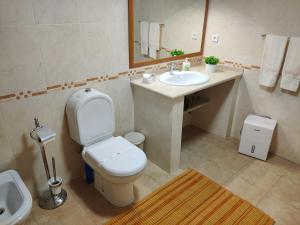 a bathroom with a toilet and a sink and a mirror at HOUSEMARIA in Nazaré +22 photos