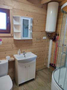 a bathroom with a sink and a toilet at 4 Domki u Ewy in Ryn