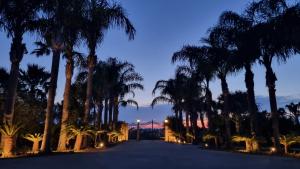 een weg met palmbomen in de nacht bij villa Bismarkia in Siracusa