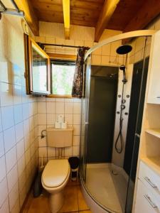 a small bathroom with a toilet and a shower at House with garden close to the sea in Sarzeau