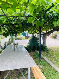 un tavolo da picnic sotto un albero in un parco di Appartamenti Podere San Sebastiano a Castiglione della Pescaia