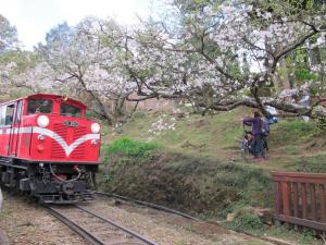 
a red train traveling down train tracks next to trees at Wankou Hotel in Zhongzheng
