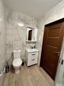 a bathroom with a toilet and a sink and a mirror at Swan City Family Apartment in Gulbene