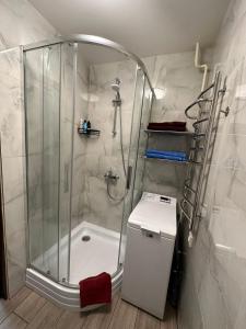 a bathroom with a shower and a toilet and a sink at Swan City Family Apartment in Gulbene