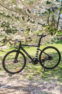 una bicicletta parcheggiata sull'erba sotto un albero di The Mark New York a New York