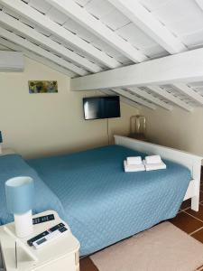 sypialnia z niebieskim łóżkiem i telewizorem z płaskim ekranem w obiekcie Cuba Real w mieście Cuba