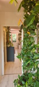 un corridoio con una grande pianta verde di Paradise apartment a Vantaa