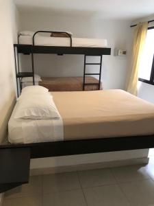 מיטה או מיטות קומותיים בחדר ב-Casa Kiwi Hostel
