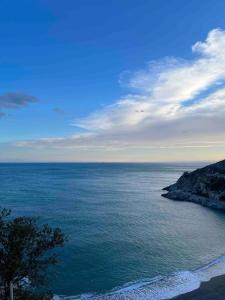 a view of the ocean with a tree on the shore at Il Sogno in Erchie