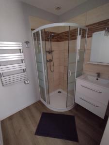 a bathroom with a shower and a sink at Maisonnette en plein centre ville in Le Mans