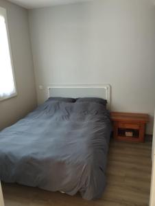 1 dormitorio con cama y mesita de noche en Maisonnette en plein centre ville, en Le Mans