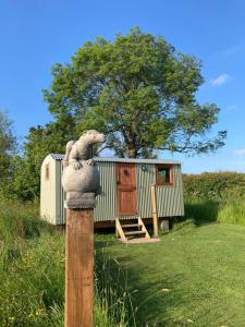un poste con un animal de peluche delante de una casa en The Dragon's Hut with pool now open en Wrexham
