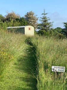 a sign in the middle of a field of tall grass at The Dragon's Hut with cosy logburner in Wrexham