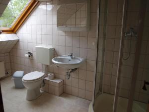 a bathroom with a toilet and a sink and a shower at Pension Partzsch in Siebenlehn +8 photos
