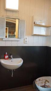 La salle de bains est pourvue d'un lavabo et de toilettes. dans l'établissement Feriendörfle Fritz - Zirkuswagen (rot), à Ettenbeuren