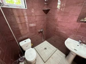 ein Bad mit einem WC und einem Waschbecken in der Unterkunft Cozy apartments with terrace in quite neighborhood Tbilisi in Tbilisi City