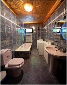 a bathroom with a toilet and a tub and a sink at Casa River in Băişoara