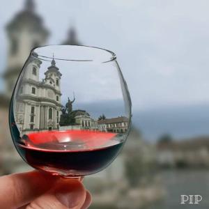 Nápoje v ubytování Kertész Vendégház
