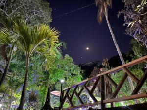Blick auf den Nachthimmel mit Palmen in der Unterkunft EcoHostal Rio Piedra in El Zaino