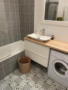 La salle de bains est pourvue d'un lavabo et d'un lave-linge. dans l'établissement Studio 28 m2 & jardin privatif 20 m2, à Montigny-le-Bretonneux