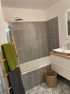 y baño con ducha, lavamanos y toallero eléctrico. en Studio 28 m2 & jardin privatif 20 m2, en Montigny-le-Bretonneux