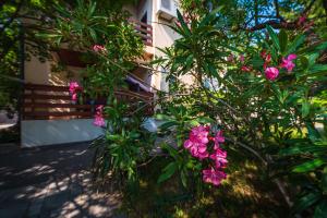 Vonkajšia záhrada v ubytovaní Vacation house Anna